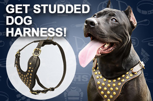 Dog Leather Harness