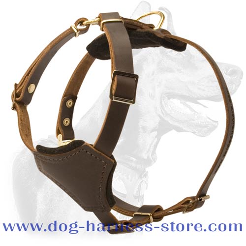 Leather Dog Harness for Small Breeds Tracking