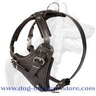 Akita Protection Leather Dog 【Harness-】 custom dog harness : Harnesses