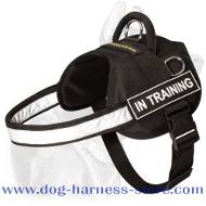 Lightweight Guide Dog 【Harness-Assistance】 Nylon Dog Harness ...