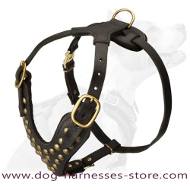 Labrador Studded Walking dog harness- handmade leather harness Labrador Studded Walking dog harness- handmade leather harness