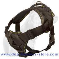 All-Weather Nylon Dog Harness with Wide Chest Plate All-Weather Nylon Dog Harness with Wide Chest Plate