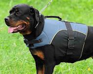 Weighted jacket 2024 for dogs