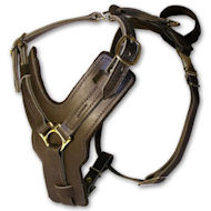 Giant breed clearance harness