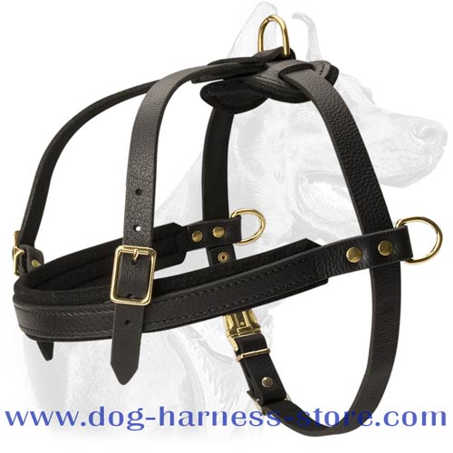 Dog Harness Made of Leather, Light Weight for Comfortable Tracking and Pulling Work
