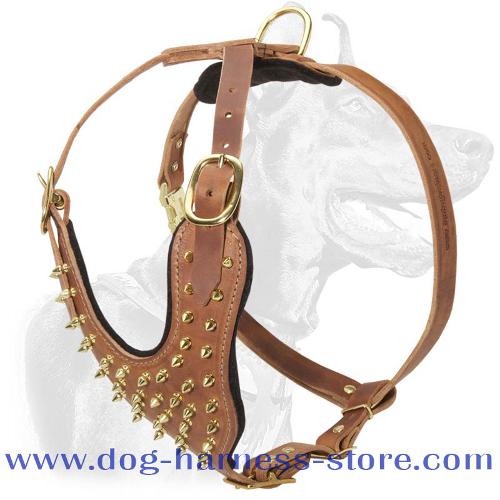 Walking Dog 【Harness】 with Y-Shaped Chest Plate and Brass Spikes