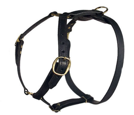 Petsmart dog harness sales no pull