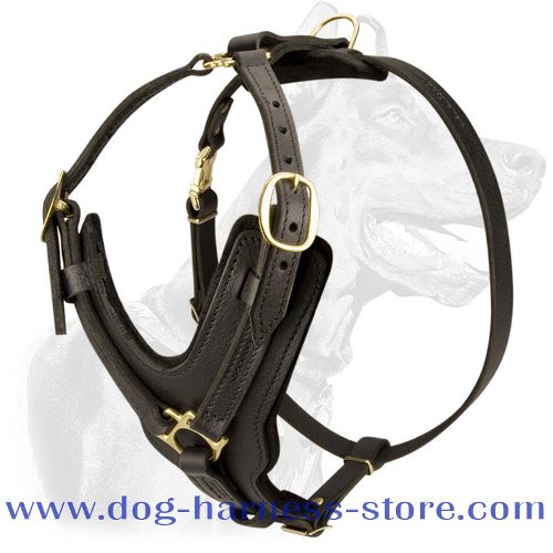 Akita Exclusive Handcrafted Leather Dog 【Harness-】 Akita Inu