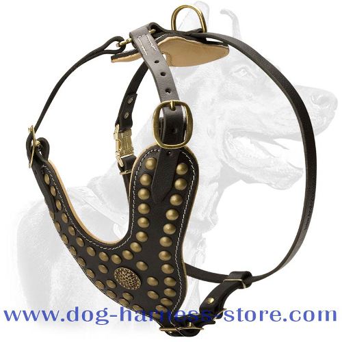 Akita Inu Royal Dog 【Harness】 - Exclusive Studded Leather 【Harness