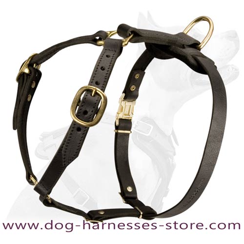 Handmade in Britain padded leather dog lead