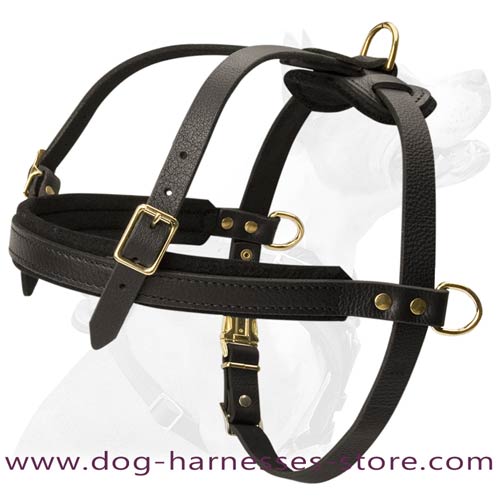 Custom sales tracking harness