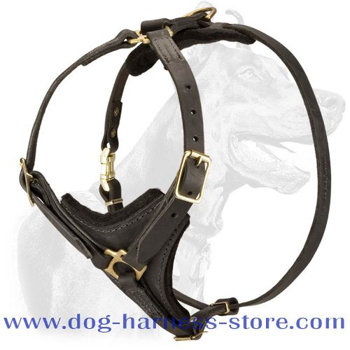 Best harness for shar pei best sale