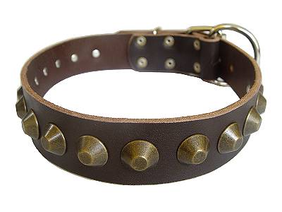 2 Wide Leather Dog Collar Thick Studded Heavy Duty for Large Dogs