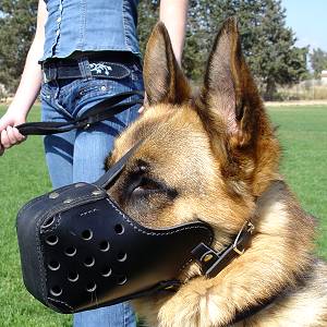 muzzle harness for dogs