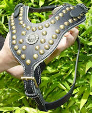 Labrador Royal Dog Harness - Exclusive Studded Leather Harness Labrador Royal Dog Harness - Exclusive Studded Leather Harness